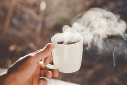 Cup of tea being held by a hand